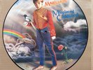 Marillion Misplaced Childhood Rare 12