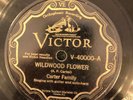 Victor 40000 Carter Family WILDWOOD FLOWER   E 78rpm 1928 classic Country