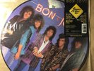 Vintage Bon Jovi Slippery When Wet Picture Disc Vinyl LP Record Album