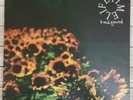 LIFETIME BACKGROUND LP 12