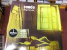 SUEDE DOG MAN STAR       2 LP S
