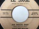 Blues 45/ Little Red Walter 