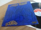 z RARE PAPER BUBBLE uk orig SCENERY ACID/FOLK/PSYCH LP Mint