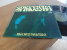 SPIROGYRA BELLS BOOTS AND SHAMBLES 1973 MINT ULTRA RAR