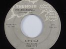 Teen R&B Rocker 45 PAUL OTT Kitty Kat THUNDER HEAR