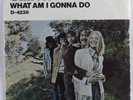 Rock 45 SMITH What Am I Gonna Do DUNHILL ABC picture sleeve