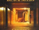 LP Black Seeds Into The Dojo LTD VINYL BY NEW ZEALANDS REGGAE-SOUL HEAVYWEIGHTS