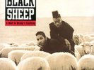 Black Sheep - A Wolf In Sheep's Clothing Vinyl LP Mercury ?NEW/SEALED