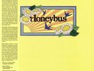 HONEYBUS - Recital (reissue) - Vinyl (LP + insert with obi-strip)