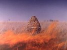 MACCABEES, The - Given To The Wild - Vinyl (gatefold 2xLP)