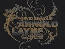 David Gilmour/Pink Floyd ARNOLD LAYNE Picture Sleeve RARE 7