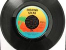 Burning Spear - Lion / Door Peep 7” Vinyl Island Records WIP 6346 (1976)