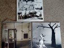 Lindsay Cooper LP’s – “Rags”, “Music For Other Occasions”, Last Nightingale”