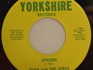 SEAN AND THE SHEAS 'SPIDERS' GARAGE INSTRO ROCKER M-  *LISTEN*