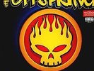 Conspiracy of One [Vinyl LP] von Offspring,the | CD | Zustand sehr gut
