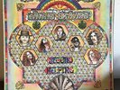 Second Helping by Lynyrd Skynyrd 1974 Vinyl MCA Records 1st Press