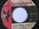 The Maytals - Don't Trouble Trouble / Double Action (SR 066)