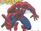WEB SPINNERS--PICTURE SLEEVE + 45--(THEME from SPIDER-MAN)--PS--PIC--SLV