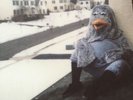 * THE WONDER YEARS - Suburbia I've Given You All LP, Ltd CLEAR VINYL 