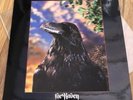 The Stranglers Raven Vinyl 3d Cover
