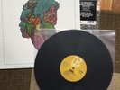 Love Forever Changes Rhino 180g 45th Anniversary Vinyl R1-74013 MINT LIKE NEW