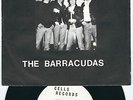 Power Pop Punk The Barracudas CELLS # Subway surfin / I want my woody back ?