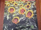 SUNNYBOYS - Individuals. Gatefold Original (Rock /Pop). OZ
