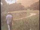 NEIL YOUNG - Old Ways - 1996 MOBILE FIDELITY ANADISQ 200 - low # 0390 EX / M-