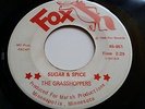 1966 Minnesota Rock 45 THE GRASSHOPPERS Sugar & Spice/ Very Last Day FOX VG+