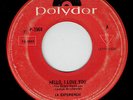 LA EXPERIENCIA hello i love you / mrs robinson  MEXICAN GARAGE listen