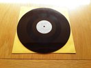 Alice in Chains Grind Acetate single Very Rare  Whitfield Recording Studios
