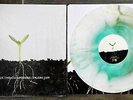 Balance and Composure / Tigers Jaw Split Vinyl LP Starburst /2000
