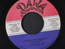 APPLE: Lookin' For Somebody / We're Gonna Rock N' Roll 45 Hear  (TX, 70s Rock w
