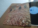 JELLYBREAD First Slice LP 1970 UK BLUE HORIZON 1st MINT