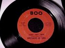 BROTHERS OF SOUL Hurry Don't Linger DETROIT NORTHERN SOUL 45 on BOO nice HEAR