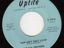 THE TAIL FEATHERS *NOW AIN'T THAT LOVE* 1967 US  N SOUL  GARAGE ROCK   N MINT