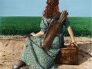 CISCO | Jennifer Warnes - The Hunter 180g LP oop