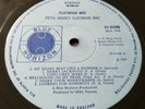 Peter Green's Fleetwood Mac MONO Cover with  GOLD STEREO Sticker