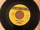 The Ramrods 45-  Bright Lit Blue Skies /Mr. Wind  - Rare New England Garage NM