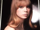 Pattie Boyd Genuine Signed Photo Rare  The Beatles George Harrison Clapton Layla