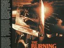 WAKEMAN, Rick - The Burning (Soundtrack) - Vinyl (LP)