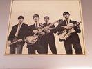 THE WITNESSSES