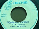 Rare Roots Reggae Carl Bradney SLIPPING INTO DARKNESS / Oh Girl 45 7
