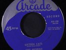 JOEY MICHAELS: Sixteen Cats / Too Blue To Cry 45 Rockabilly