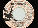 Garage 45 - Shadows Of Knight - Someone Like Me - Dunwich - mp3