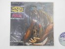 ZINGALE - PEACE    ISRAEL Prog Psych Copy - 1ST PRESSING 1977