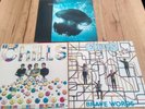 The Chills Vinyl Records Submarine Bells Brave Words The Lost EP