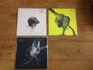 SIGUR ROS - JONSI - ALEX SOMERS - ALL TITLES RSD 2018 - Ltd Ed. 1000 Copies MINT