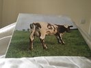 PINK FLOYD Atom Heart Mother LP VINYL UK Harvest 1970 Original 