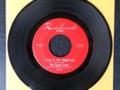 LEMON DROPS I Live In The Springtime KILLER GARAGE FUZZ 45 Rembrandt 5009 BFTG